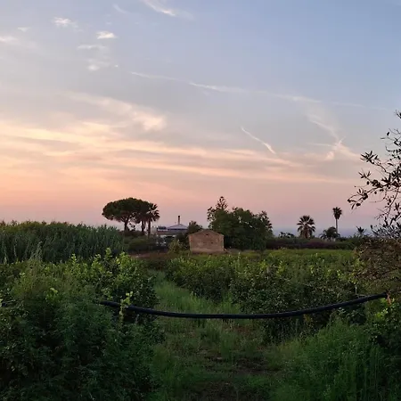 The Green Planet Villa